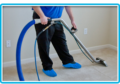 Professional Carpet Stain Removal